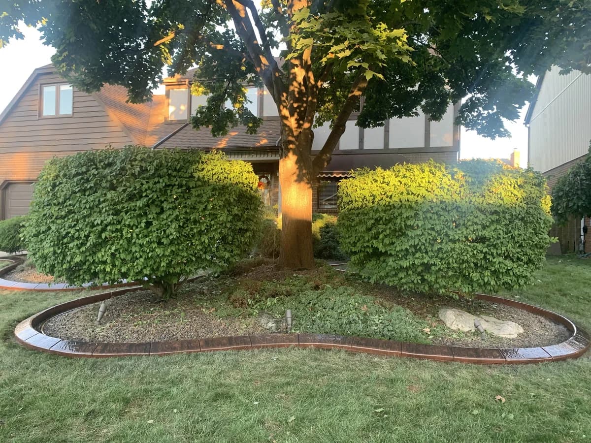 Thumbnail for transformation 1