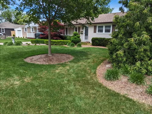 Before transformation 6