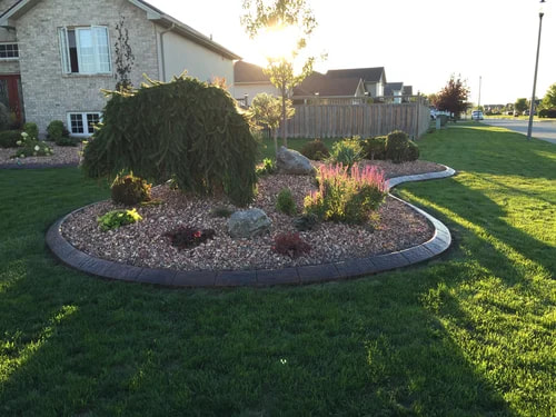 Landscaping work 9