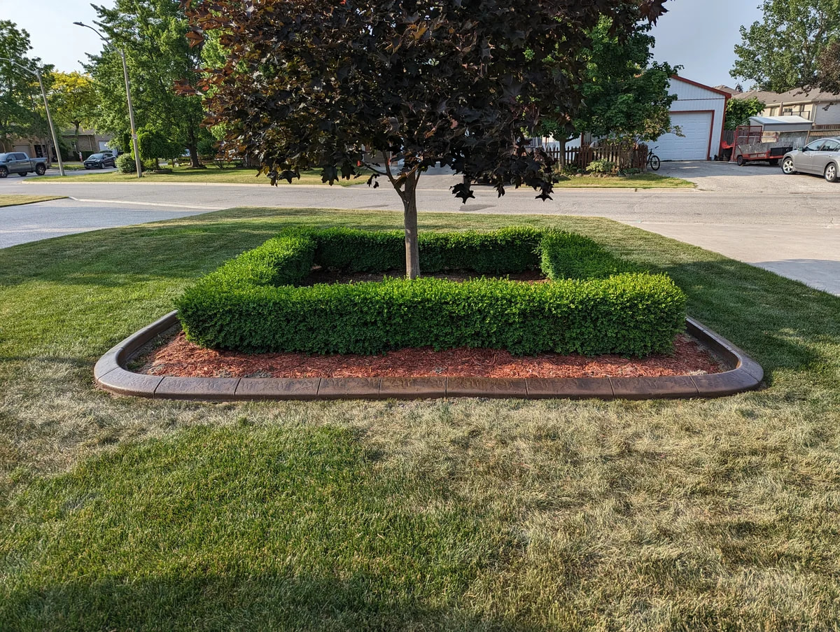 Curved Garden Pathway