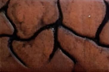 Cobble Rock Design