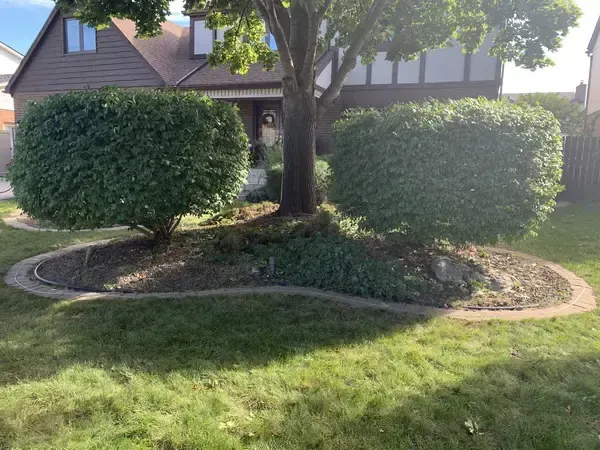 Garden Border Enhancement before