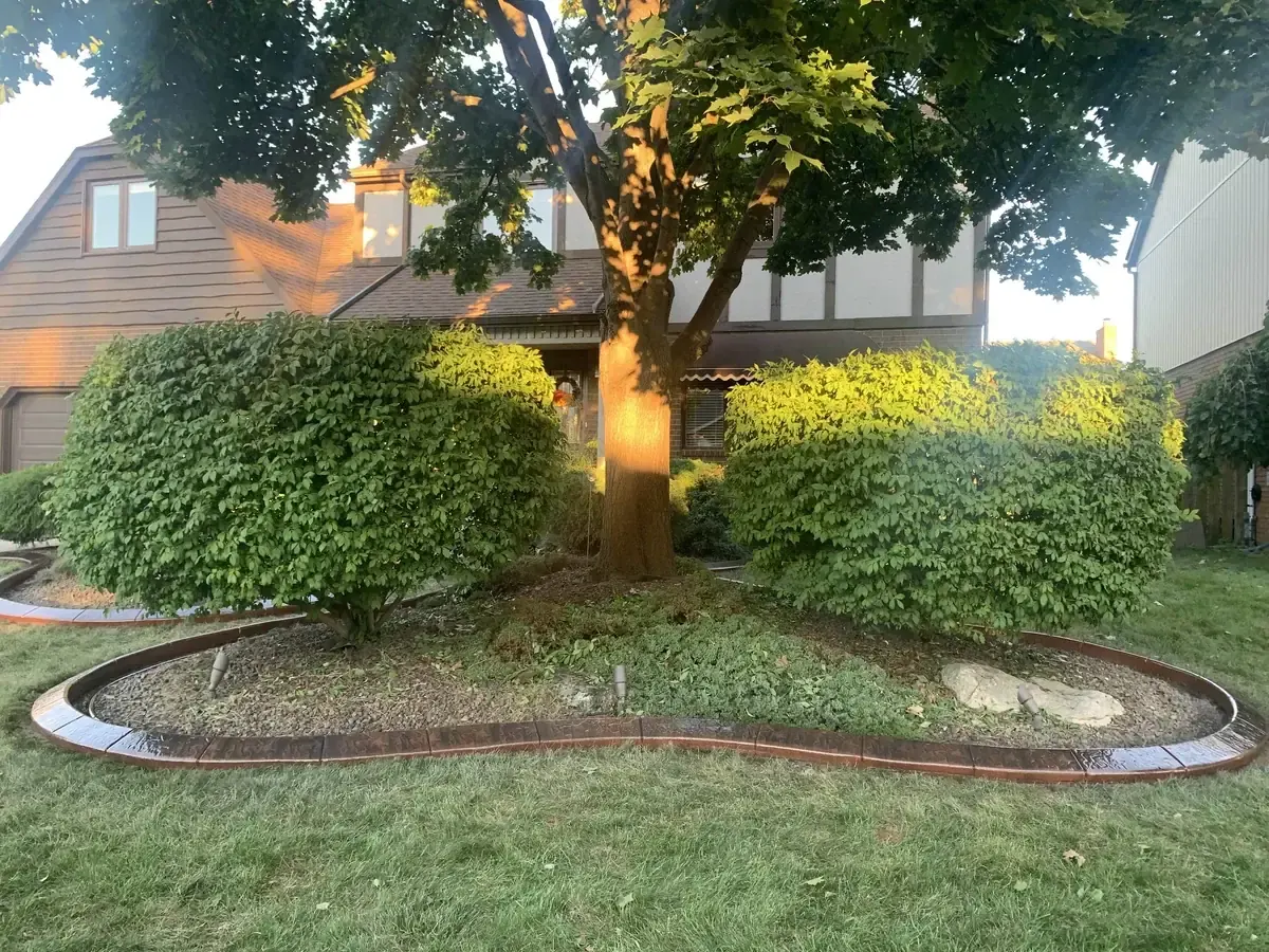 Garden Border Enhancement after