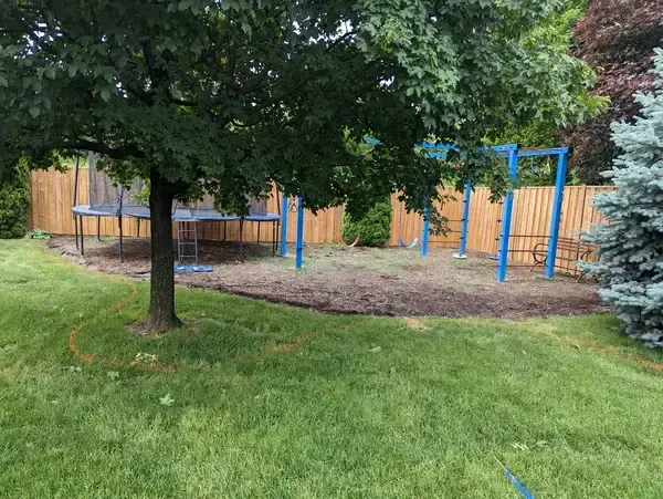 Hillside Landscape Renovation before