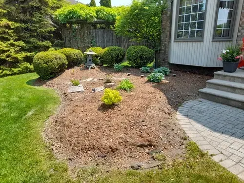 Front Yard Landscape Renewal before