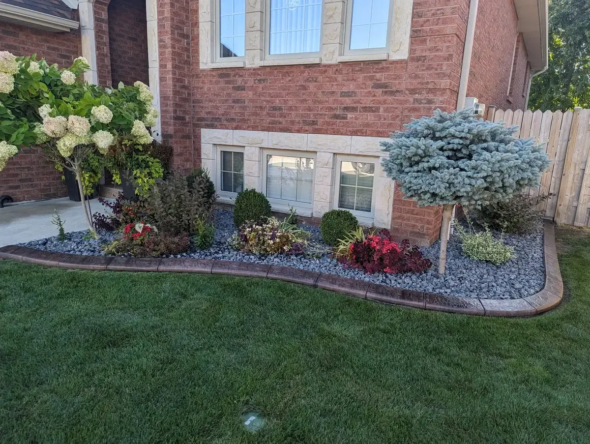 Patio Border Design