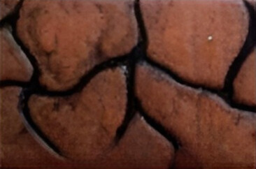 Cobble Rock Design